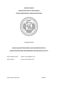 Document thumbnail