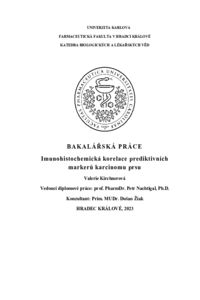 Document thumbnail