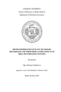 Document thumbnail