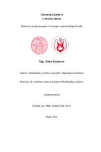 Document thumbnail