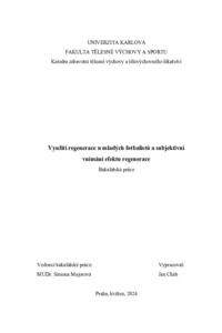 Náhled dokumentu