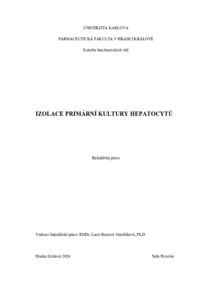 Document thumbnail