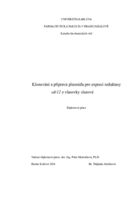 Document thumbnail