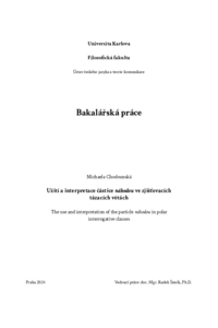 Document thumbnail