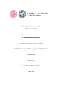 Document thumbnail