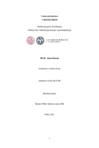 Document thumbnail