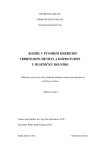 Document thumbnail