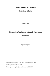 Document thumbnail