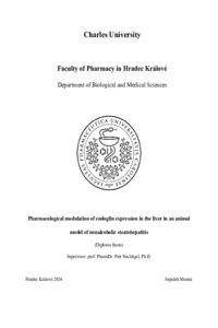 Document thumbnail