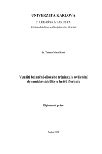 Náhled dokumentu