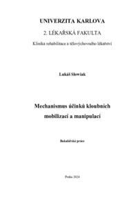 Náhled dokumentu