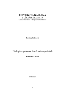 Document thumbnail