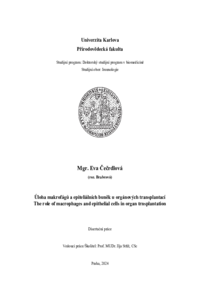 Document thumbnail