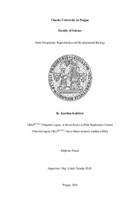 Document thumbnail