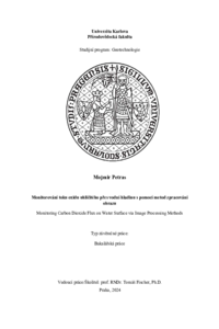 Document thumbnail