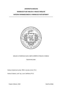 Document thumbnail