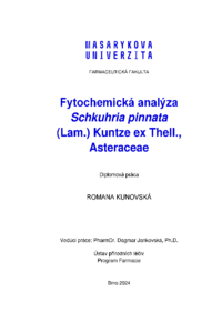 Document thumbnail