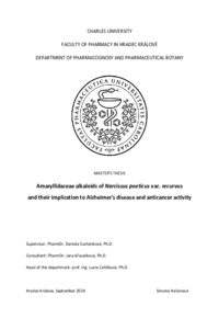Document thumbnail