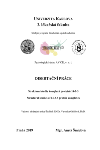 Document thumbnail