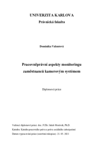 Document thumbnail