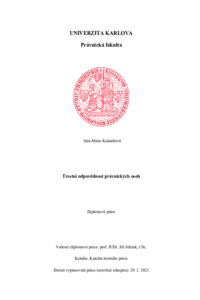 Document thumbnail