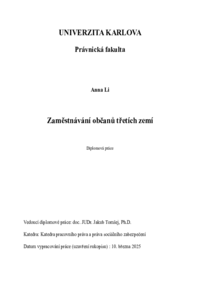 Náhled dokumentu