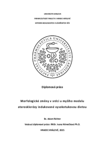 Document thumbnail