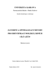 Document thumbnail