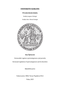 Document thumbnail