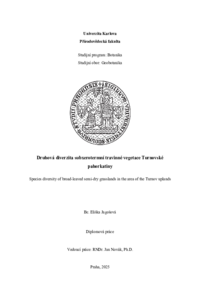 Document thumbnail