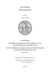 Document thumbnail