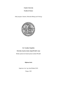 Document thumbnail