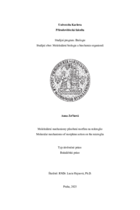 Document thumbnail