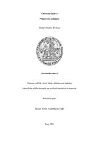 Document thumbnail