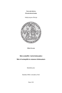 Document thumbnail
