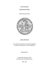 Document thumbnail