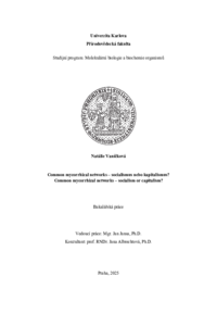 Document thumbnail
