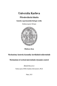Document thumbnail
