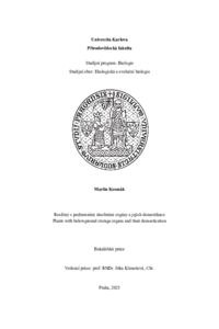 Document thumbnail