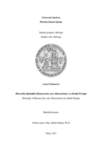 Document thumbnail