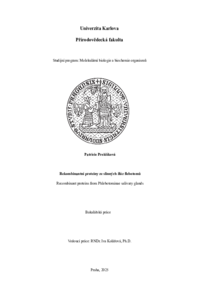 Document thumbnail