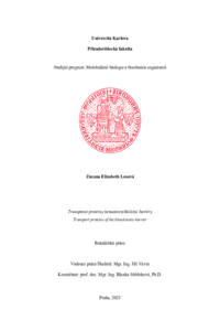Document thumbnail