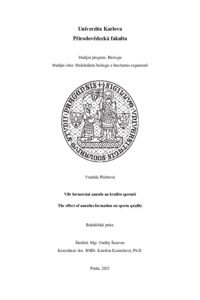 Document thumbnail