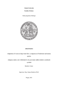 Document thumbnail