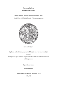 Document thumbnail