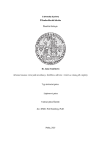 Document thumbnail