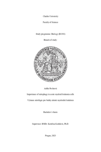 Document thumbnail