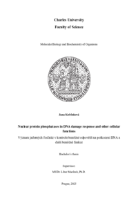 Document thumbnail