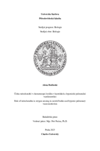 Document thumbnail