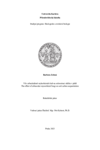 Document thumbnail
